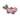 Tiny Pink Fish