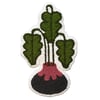 Monstera
