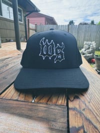 Image 2 of WS BRIMS