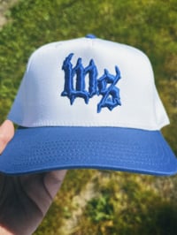 Image 1 of WS BRIMS