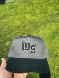 Image 3 of WS BRIMS