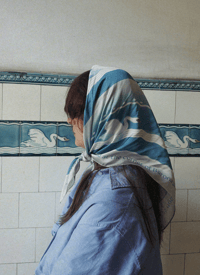 Image 1 of Barona/Stabu street swans (preorder)