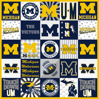 Image 1 of University Of Michigan T-Shirt MINKY Panel - Go Blue!