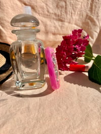 Image 1 of Inès pivoine du jardin 