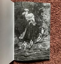 Image 3 of Devil's Pool Zine