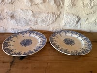 Image 8 of Assiettes plates KG Luneville en terre de fer - Art de la table 