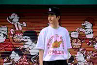 FDR Japan Tour