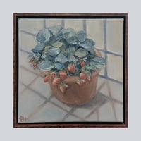 Image 1 of Strawberry Plant