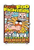 Image of Foo Fighters Houston 