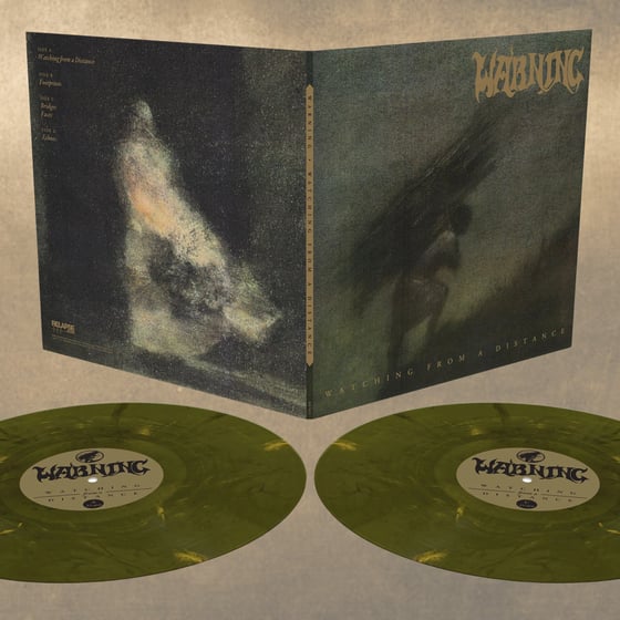 Image of Watching from a Distance | 2LP | Custom "Labradorite" vinyl