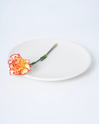 PLATO 21 CM PERSONALIZADO
