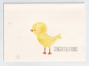 Image of Congratulations Chick--Baby