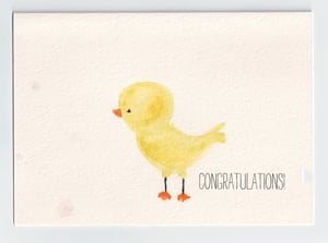 Image of Congratulations Chick--Baby