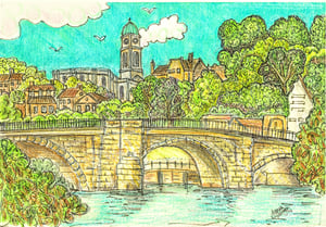 Image of Shropshire set