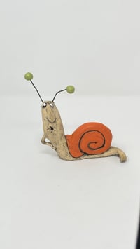 Image 1 of Orange Snail