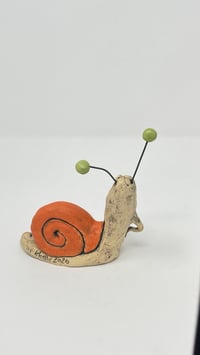 Image 2 of Orange Snail