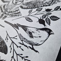 Image 4 of Owl Print