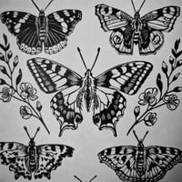 Image 5 of Butterflies Print