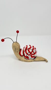 Image 3 of Christmas Ribbon candy Snail - adorable and slightly repulsive. 