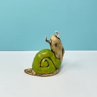 Image 2 of Horned Cyclops Snail. Friendly…