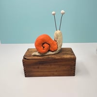 Image 2 of Startled Snail