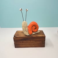 Image 1 of Startled Snail