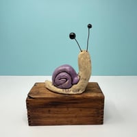 Image 2 of Snail in a shiny purple shell. 