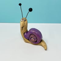 Image 1 of Snail in a shiny purple shell. 