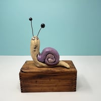 Image 3 of Snail in a shiny purple shell. 