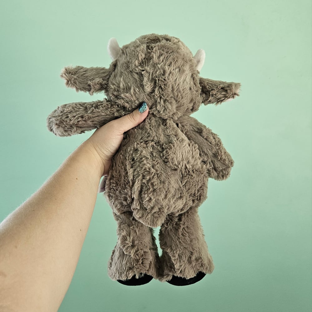 Image of Curly Large Cow