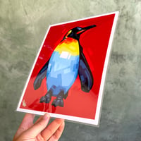 Image 2 of Penguin - Signed 8"x10" Prints