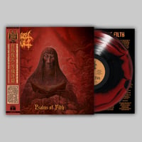 Image 3 of ZEALOT CULT - Psalms of Filth [12" VINYL]