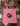 There Goes... Tote Bag