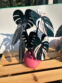 Image 3 of Monstera Coaster