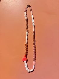 Nacre corail
