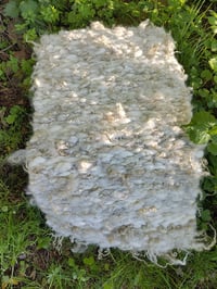 Image 5 of Curly Wool Throw