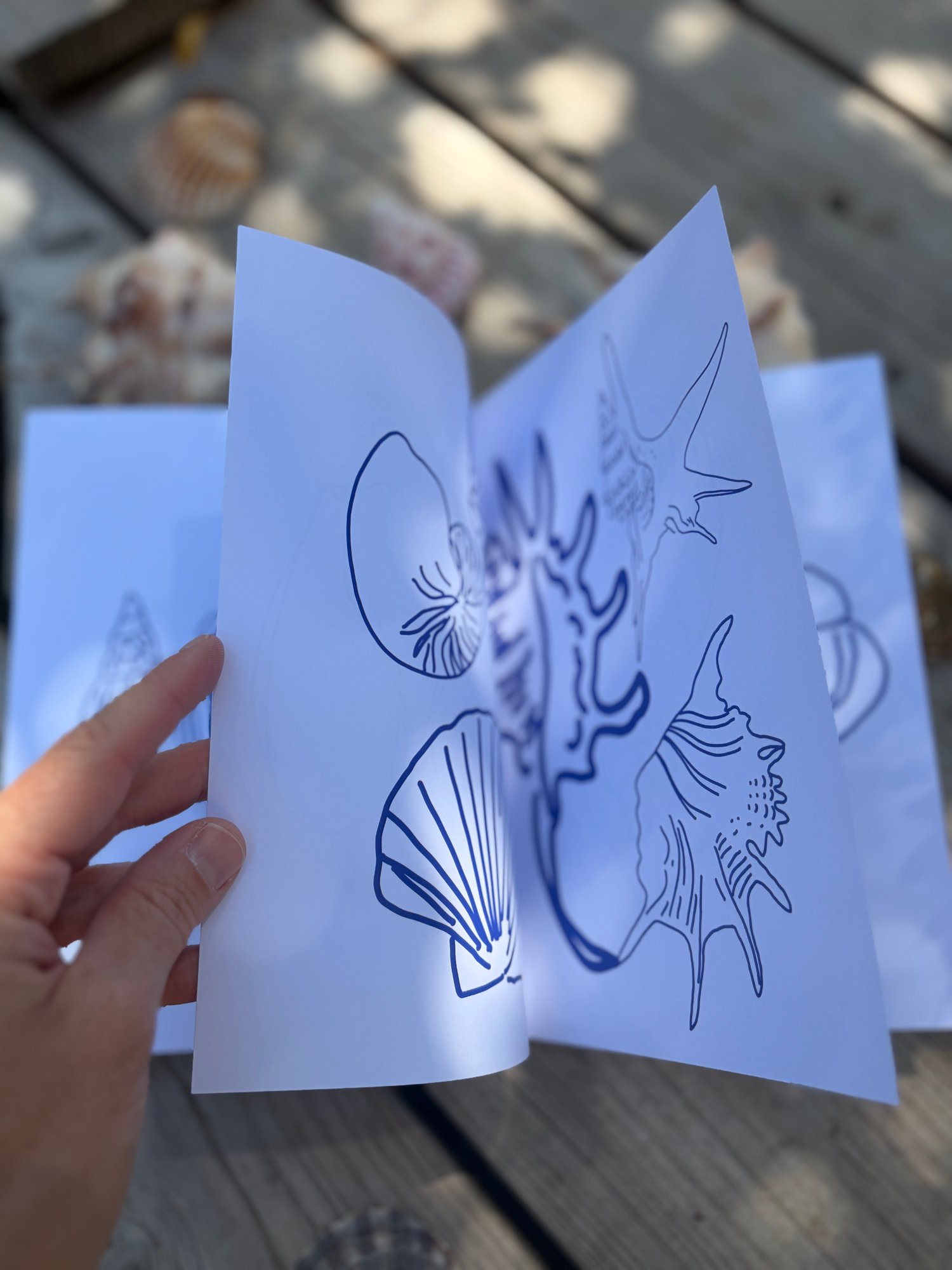 Image of COQUILLAGES - carnet de coloriage