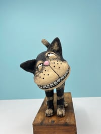 Image 1 of Cheshire Cat? 
