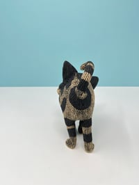 Image 2 of Cheshire Cat? 