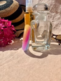 Image 3 of Garance champ de blé