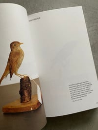 Image 4 of These Birds of Temptation