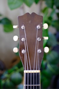 Image 4 of 1930s Larson Brothers Euphonon Jumbo