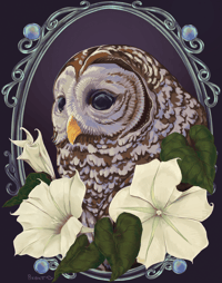 Image 1 of 11X14 Barred Owl W/ Moonflowers  Large Print