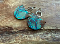Image 17 of Crysocolla Sterling Silver earrings n4