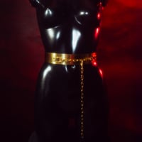Image 1 of Golden Metal Circlet Wrap Belt with Chain Fasten