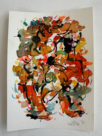 Image 1 of Orange Tangs A5