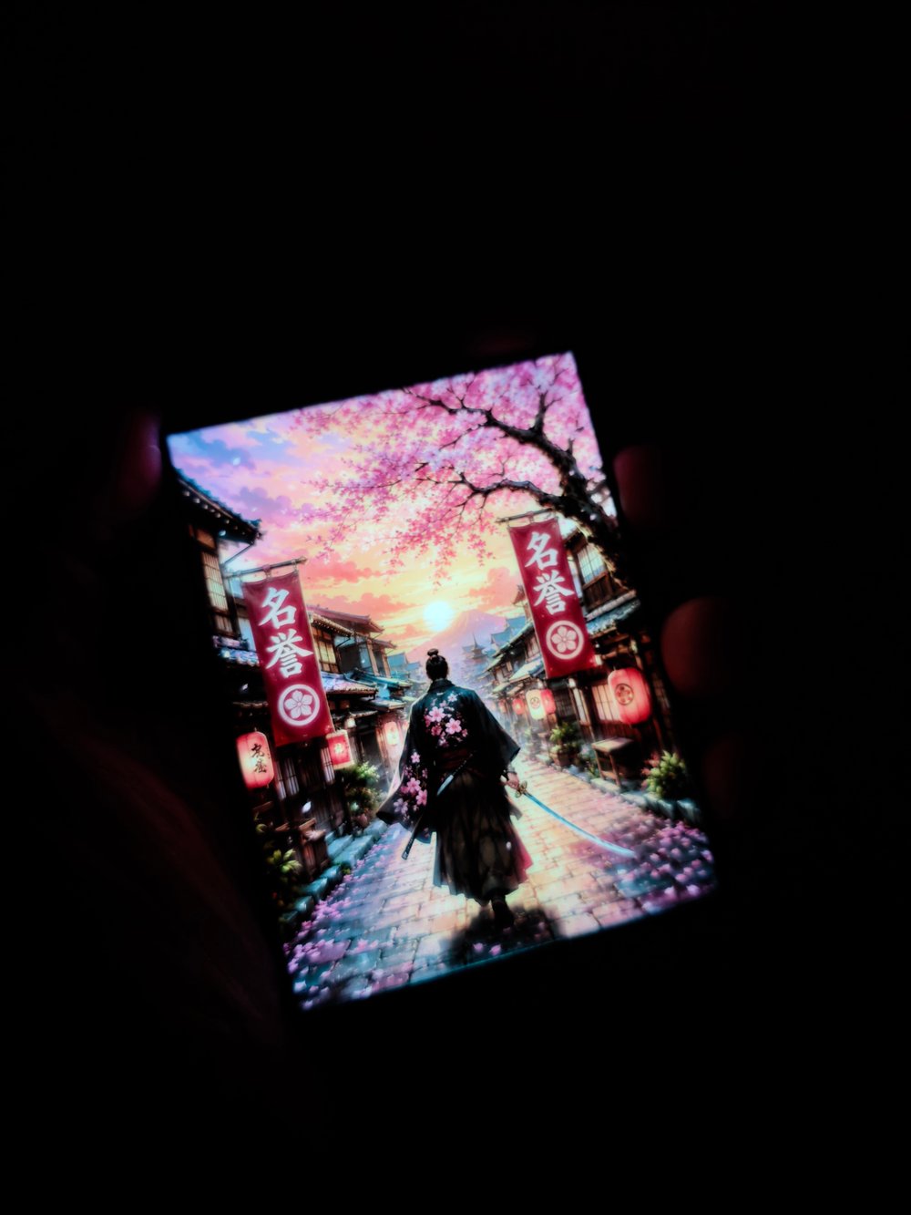 Image of The Last Ronin