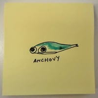 Anchovy 