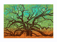 Image 1 of Wilco, Charleston, SC 2026 (Glow-in-the-dark!)