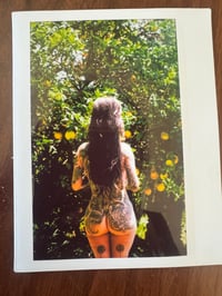 Lemons Polaroid 1